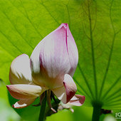 �ɻ���ѿ����ڵ���