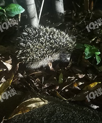 �ؼ�·�Ϸ���С��⬣�