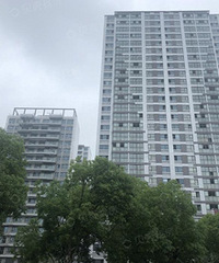 ѡ���ӵ����ǻ��ｭ�ϣ����ѣ��������Ķ���