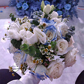 ׼�Ϲ���������������