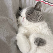 91��è������ҵGG