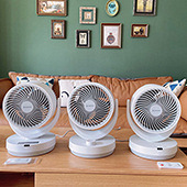 �������ֵ̫����