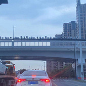 �ܼ��־�֢�������룡