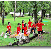 ��¼���ഺ�ļ���