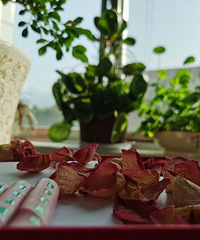 С�����͵Ľ������ ��ʫ����Ŀں����װ