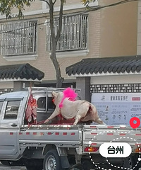 ȥ̨�ݲμӴ�ѧͬѧ�Ļ��� �з�Ҫ��Ů������ ϲ������ϲ��