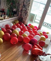 �Ϲ����Ĳ��õ���鲼�� ������ڴ��� �о��Ҹ�����