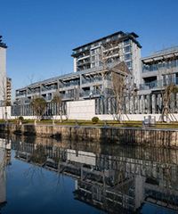 ������ҡ�ų������ 50����145ƽ���л�����