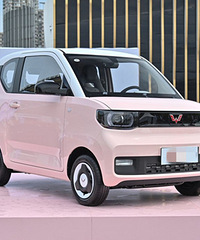 ��Ϊ���ӣ����˹��￴������mini ����ȴ˵����ȥ��������