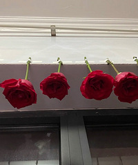 ��黨��99������ʵ�ڿ�ϧ ��������Ҳ����