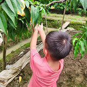 ȥ�������������