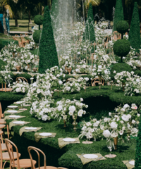 �����ػ���ָ��Ϯ��ԭ���������ŭָ�� ϣ�������Ϊ֮