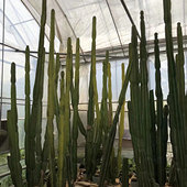 �����˾޴��������