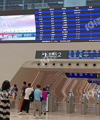 ���ϴ����Ƥ�����