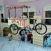 �򿨱���ܲ����