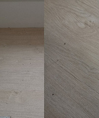 ��˭֪�����׷��䶼������С������զ����