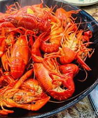 ��4��С��Ϻ ��ֻ������