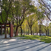一代一代的有什么区别?我妈总说我爷奶强势 其实他俩一毛一样