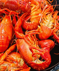 �������ȱС��Ϻ �������� ���ŷ���