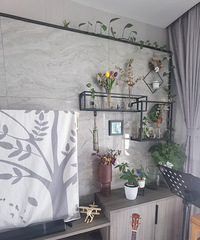 ���ӻ�����ǽ�õ��Ǵ�ש��ǽ Ҫ���������ʸ��Ӻÿ� �����㿴