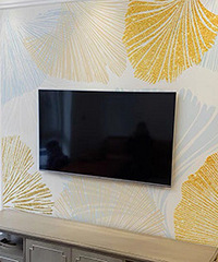 �ҼҶ�һ�޶��ĵ��ӱ���ǽ