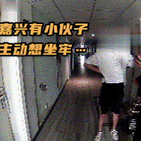 ������ ֻ������������