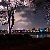 ȥ������������