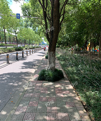 �����е�զ�ߣ�