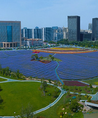 ��������ȫ��򿨻��Ҧ�ҵ���԰�̵�