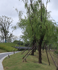 ��������ȫ��򿨻��˫Ϫ��԰