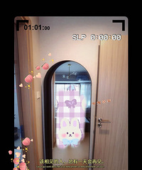买了一面双色的全身镜 一丢丢黑色走边 超级高级 女孩子要买!