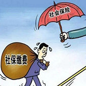 ������Ҫ���籣������