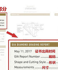 3���ӿ���GIA֤�� ���������ʯ��ٺû� ����Щ��ʶ����