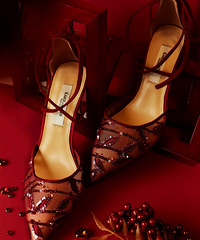 �����������ҵĻ�ЬͶ��Ʊ �ÿ���̫��������