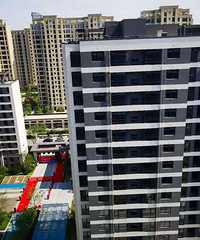 ��2021��DZJ����Ҵ�ש���ռǴ�����+��������+127+�ִ�
