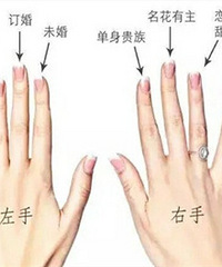 ��һֱ��Ϊ����ָ������Ů�� ֱ��������ͼ��