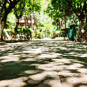 �����˵��������