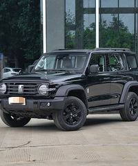 20�������ֵ�ĳ� ��Ȼ��TA������