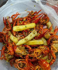 ���޶����������ӣ����˵�С��Ϻ�������˽��۵�ƻ��12