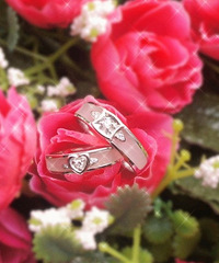 ����ǻ������տ�ʼ�������� ��������˺�����Խ� �����µ�