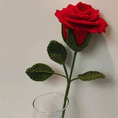 ��õ�����õ��