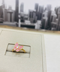 һֱ��Ҫһö�ر�Ľ�ָ ���Ǿ���������һöõ���ĺ�����ָ