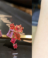 �Ҷ�ʮ����ġ��Ϲ��ۡ����ҵĺ�����������