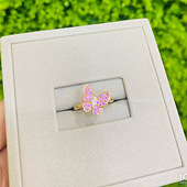 ָ���ϵ��������