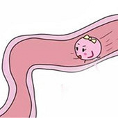 ���ѹܶ�������ҩ����