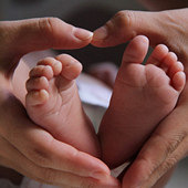 ��̥������˯ͷ��