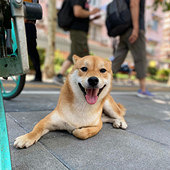 ���õ�һ���ֿ�ʼ��