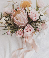 �����Ķ��ĸ߶���ɫ����?��һ�޶�