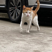 ���ŵĲ���Ϭ��������