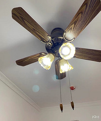 ���Ϳ�ȫ�ݶ��Ʊ������š���ɹ�ƾߡ�+��������һ���